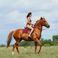 Nude rider on horseback