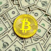 golden coin Z logo %28zero%29 inside over many fiat dollars