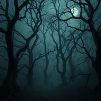 %D8%BA%D8%A7%D8%A8%D8%A9 %D9%85%D8%B3%D9%83%D9%88%D9%86%D8%A9 %D8%A8%D9%88%D8%AD%D9%88%D8%B4